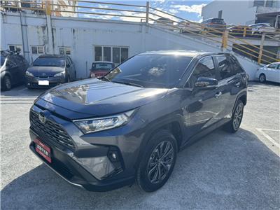 RAV4 2.0